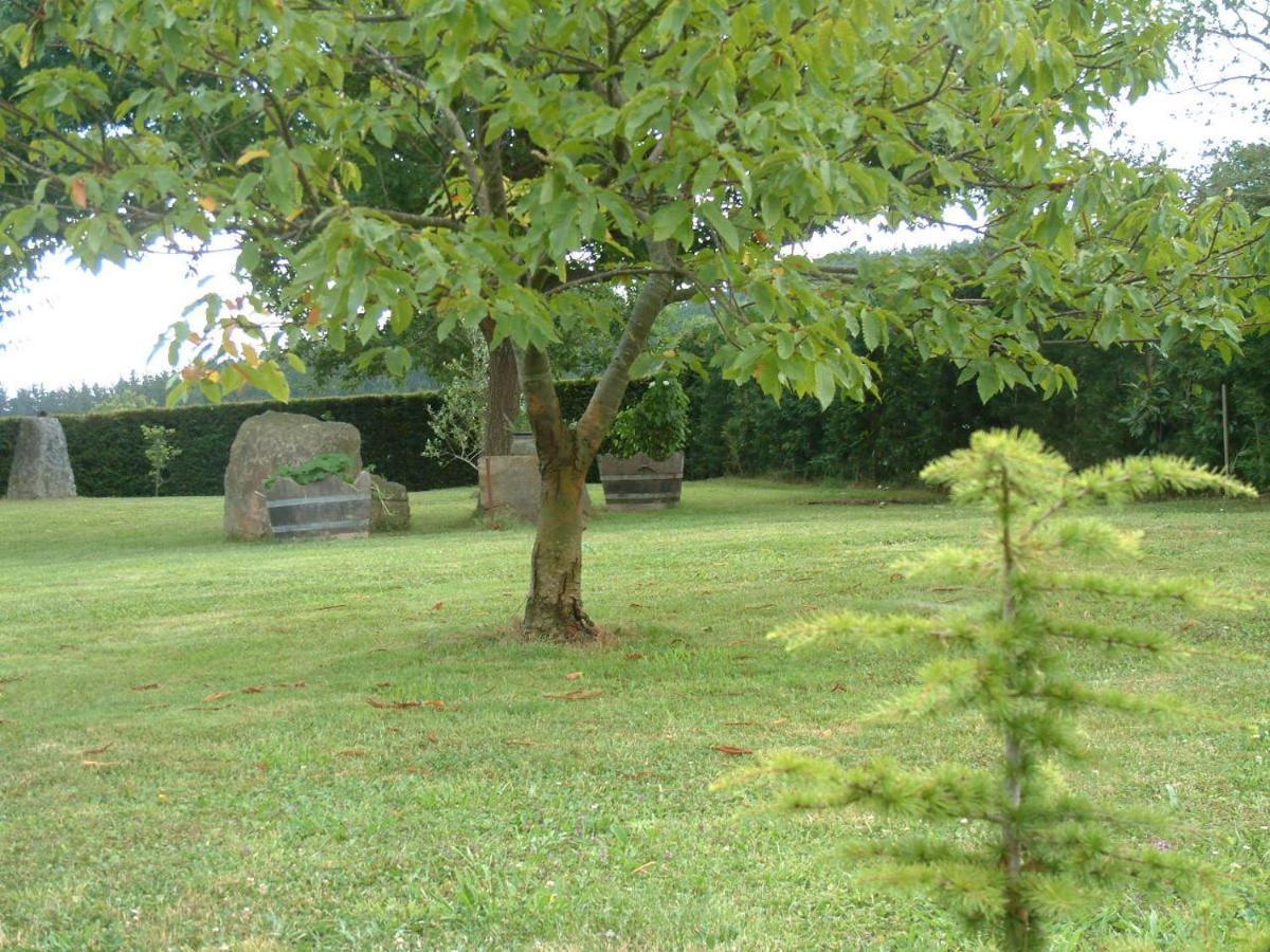 Albergue Eskerika Exclusivo Peregrinos Esquerica Buitenkant foto